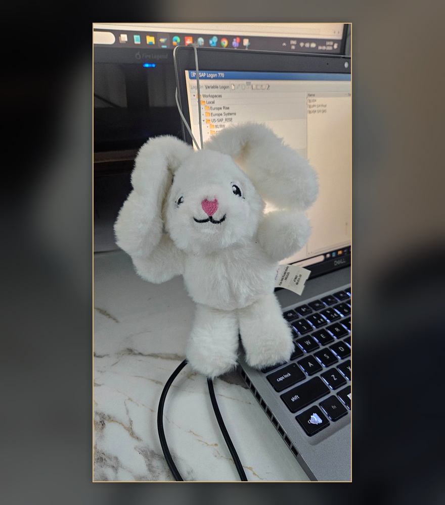 The Tiny Bunny